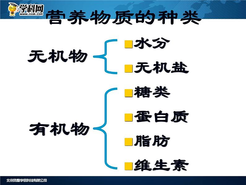 人教版生物七年级下册课件2.1 食物中的营养物质 (3)第4页