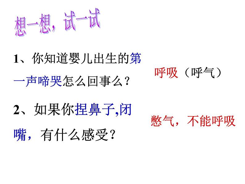 人教版生物七年级下册课件3.1 呼吸道对空气的处理 (1)第1页