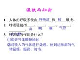 人教版生物七年级下册课件3.2  发生在肺内的气体交换 (1)