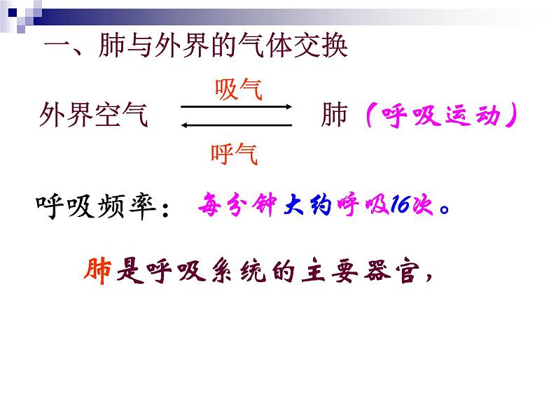 人教版生物七年级下册课件3.2  发生在肺内的气体交换 (2)第3页