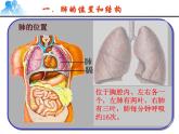 人教版生物七年级下册课件3.2  发生在肺内的气体交换 (3)