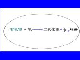 人教版生物七年级下册课件第五章 人体内废物的排出 (1)