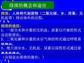 人教版生物七年级下册课件第五章 人体内废物的排出 (1)