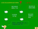 人教版生物七年级下册课件第五章 人体内废物的排出 (2)