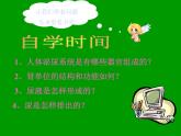 人教版生物七年级下册课件第五章 人体内废物的排出 (2)