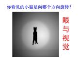 人教版生物七年级下册课件6.1 人体对外界环境的感知 (1)