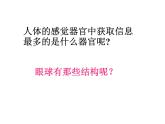 人教版生物七年级下册课件6.1 人体对外界环境的感知 (2)