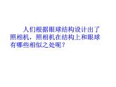 人教版生物七年级下册课件6.1 人体对外界环境的感知 (2)