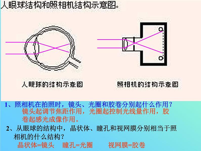 人教版生物七年级下册课件6.1 人体对外界环境的感知 (2)第5页