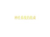 人教版生物七年级下册课件6.2 神经系统的组成 (3)
