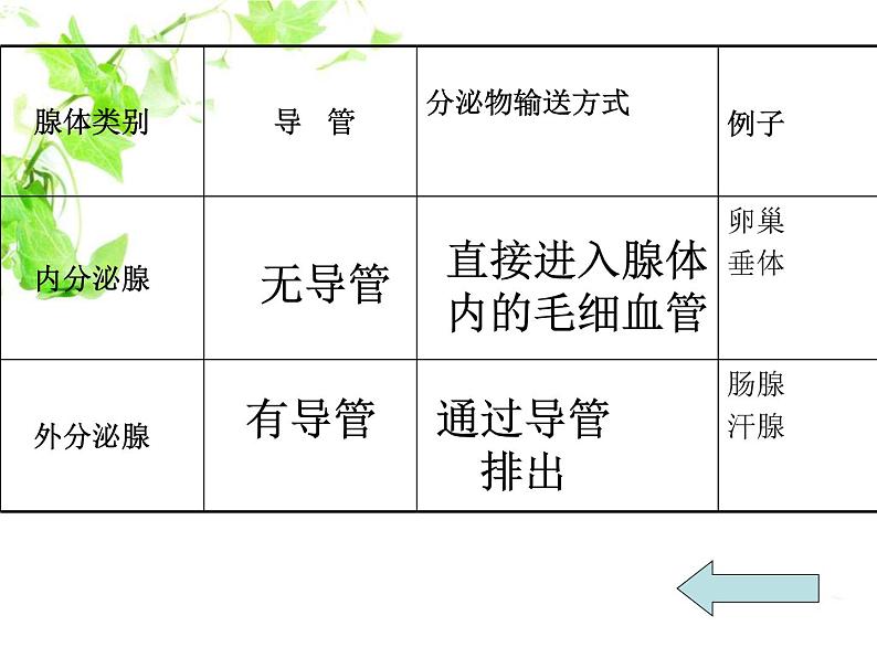 人教版生物七年级下册课件6.4 激素调节 (1)第6页