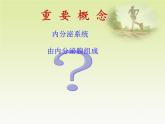 人教版生物七年级下册课件6.4 激素调节 (2)
