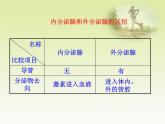 人教版生物七年级下册课件6.4 激素调节 (2)