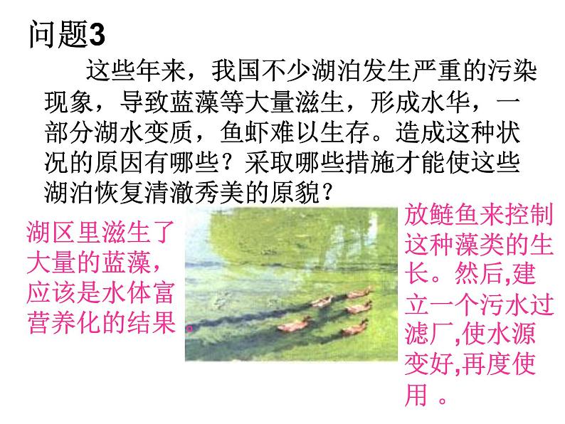 人教版生物七年级下册课件7.1  分析人类活动对生态环境的影响 (1)07