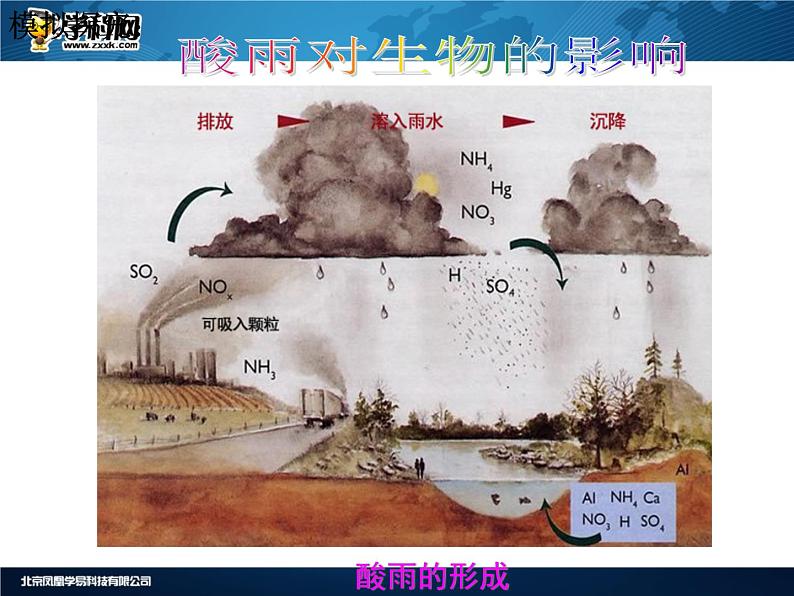 人教版生物七年级下册课件7.2  探究环境污染对生物的影响 (1)02