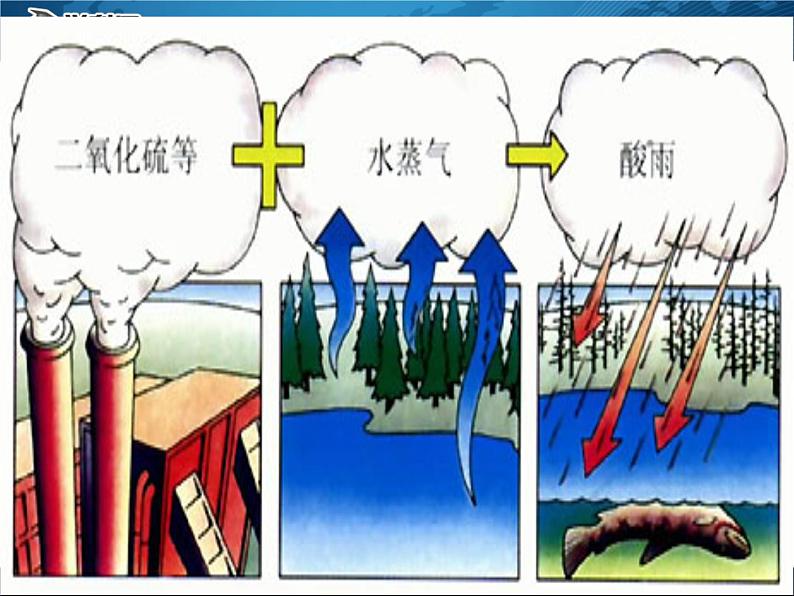 人教版生物七年级下册课件7.2  探究环境污染对生物的影响 (1)03