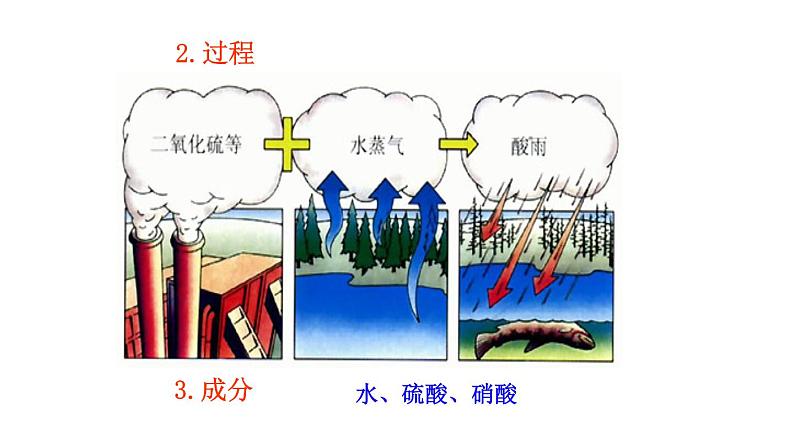 人教版生物七年级下册课件7.2  探究环境污染对生物的影响 (3)07