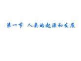 人教版生物七年级下册课件1.1 人类的起源和发展 (3)