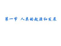 人教版 (新课标)七年级下册第四单元 生物圈中的人第一章 人的由来第一节 人的起源和发展教案配套ppt课件