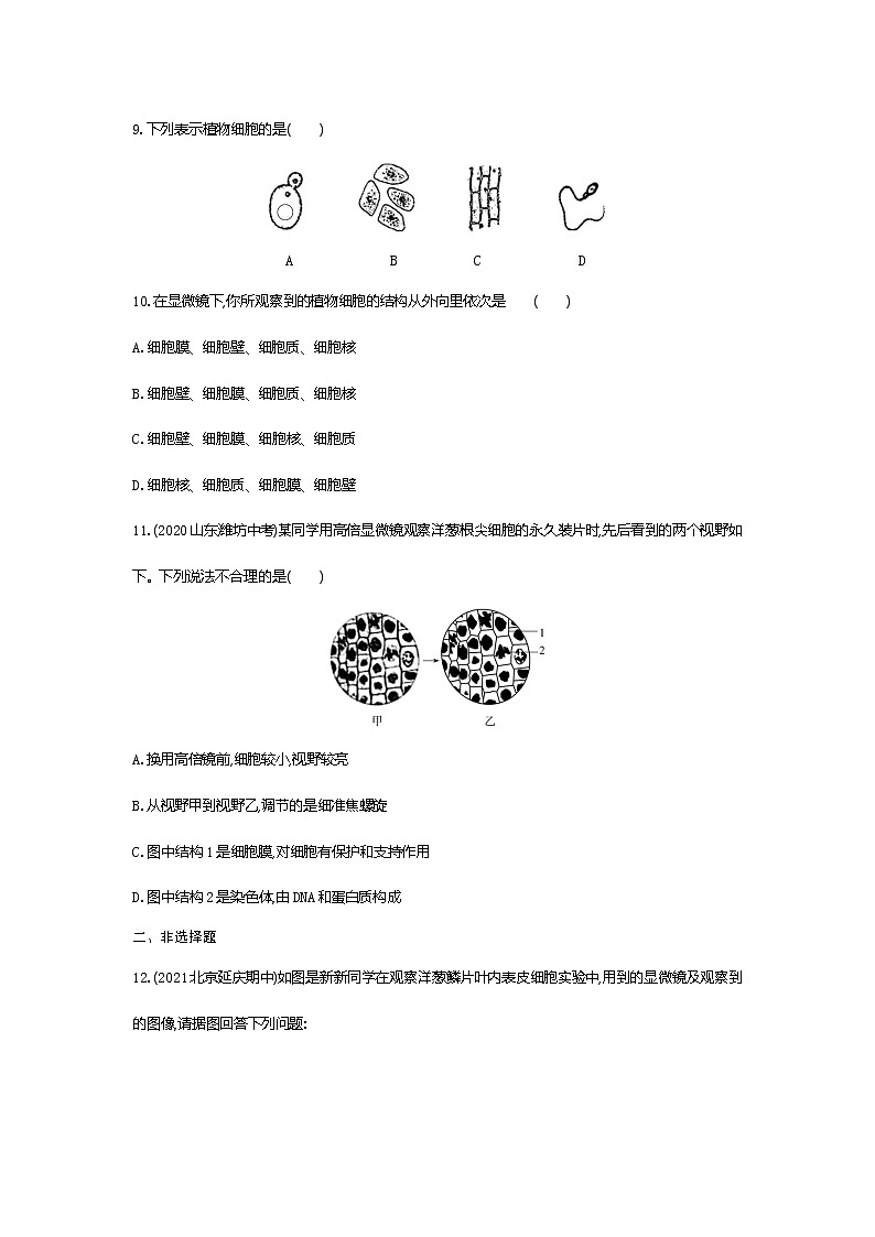 02-第二节　植物细胞练习题03