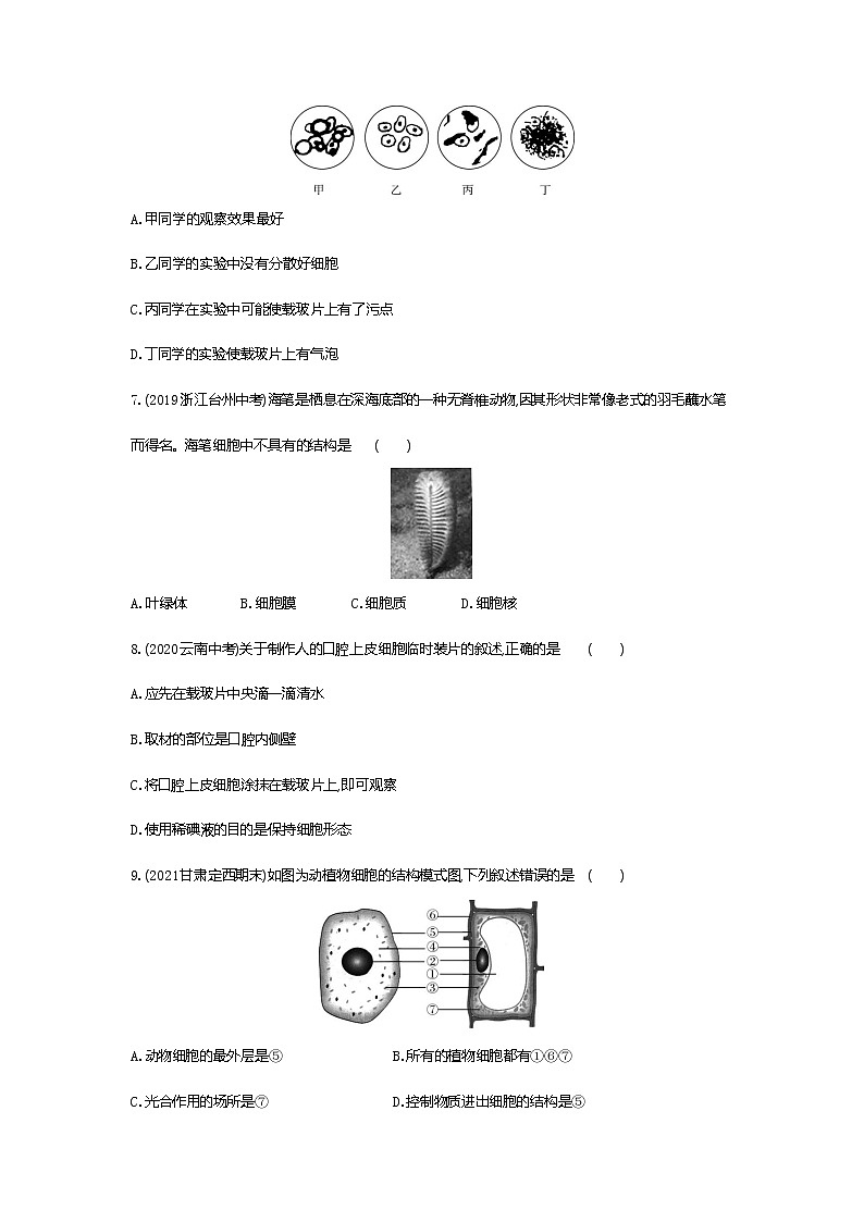 03-第三节　动物细胞练习题02