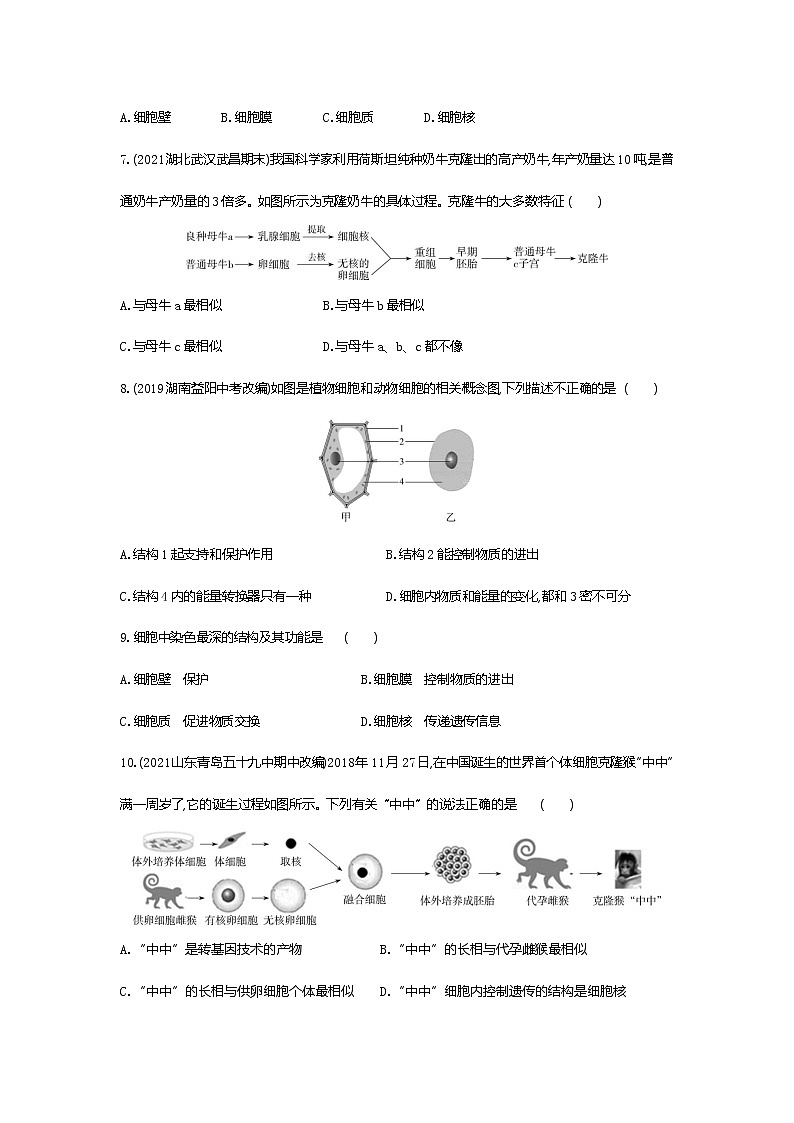 04-第四节　细胞的生活练习题02