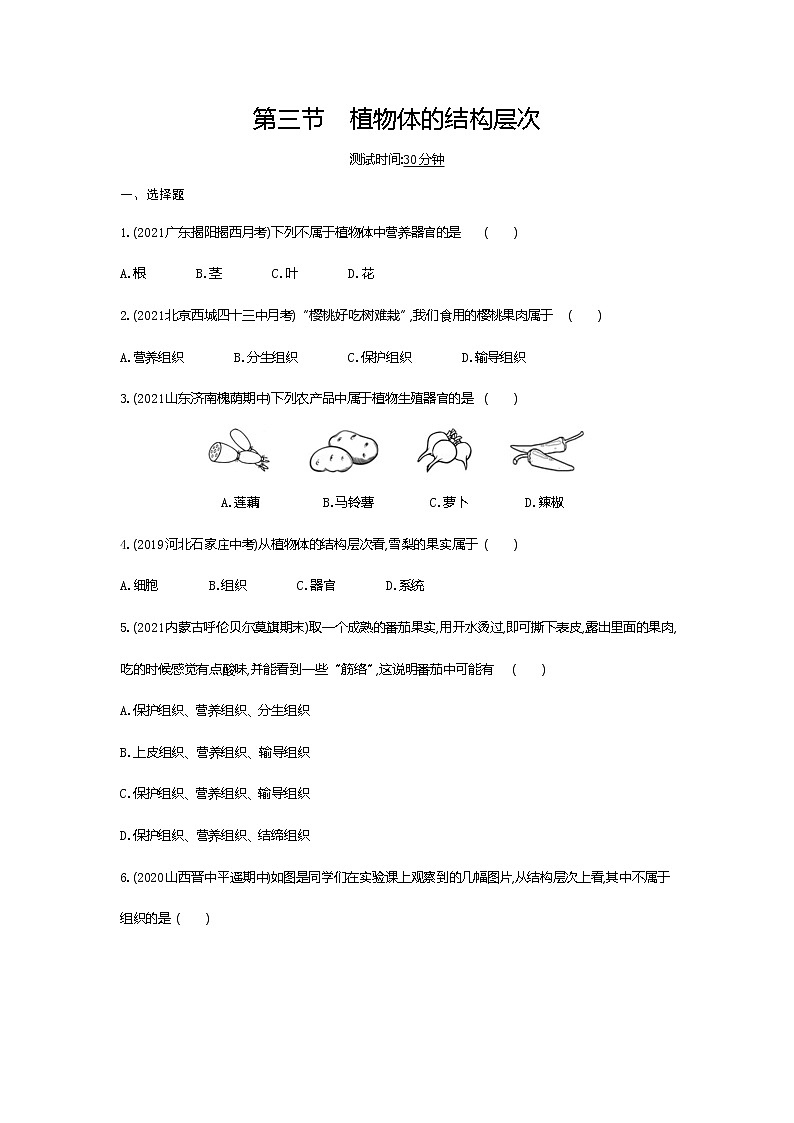 03-第三节　植物体的结构层次练习题01