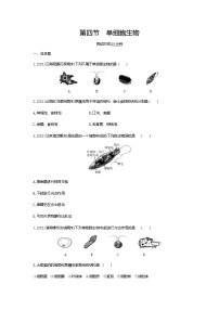 初中生物人教版 (新课标)七年级上册第四节 单细胞生物同步测试题