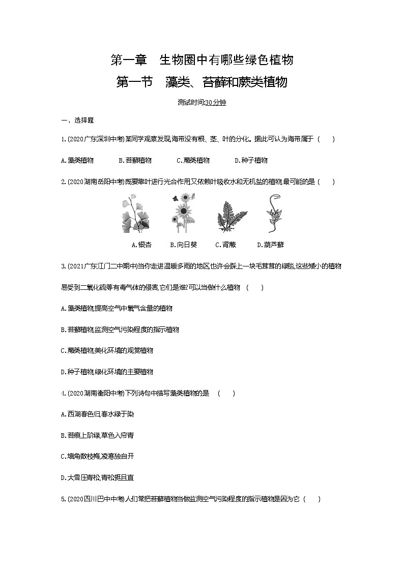 01-第一节　藻类、苔藓和蕨类植物练习题第1页