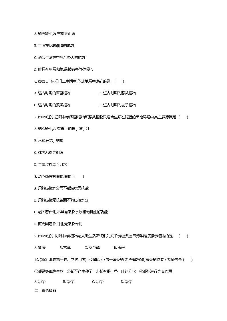 01-第一节　藻类、苔藓和蕨类植物练习题第2页