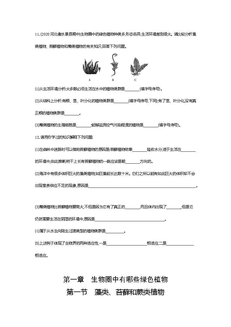 01-第一节　藻类、苔藓和蕨类植物练习题第3页
