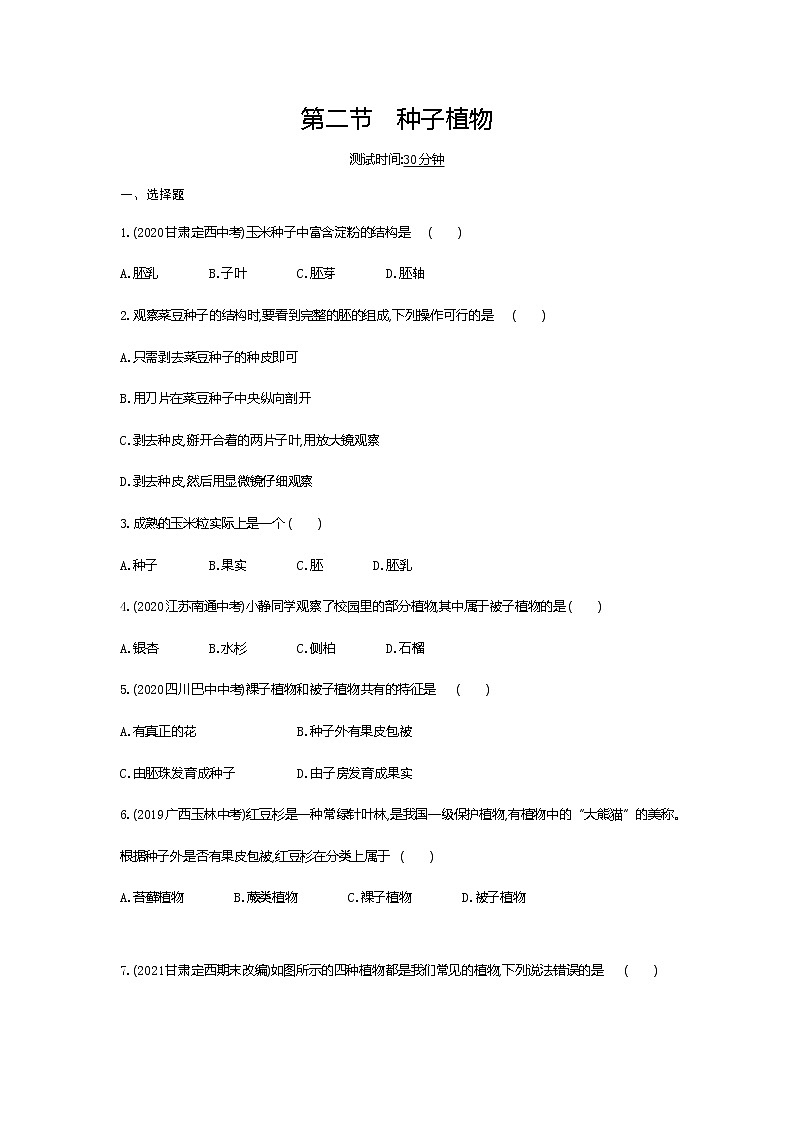 02-第二节　种子植物练习题第1页