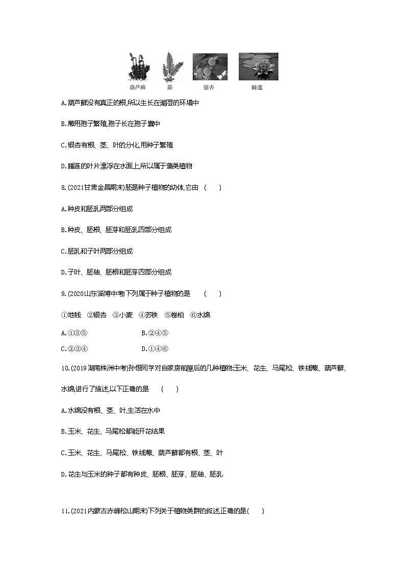02-第二节　种子植物练习题第2页