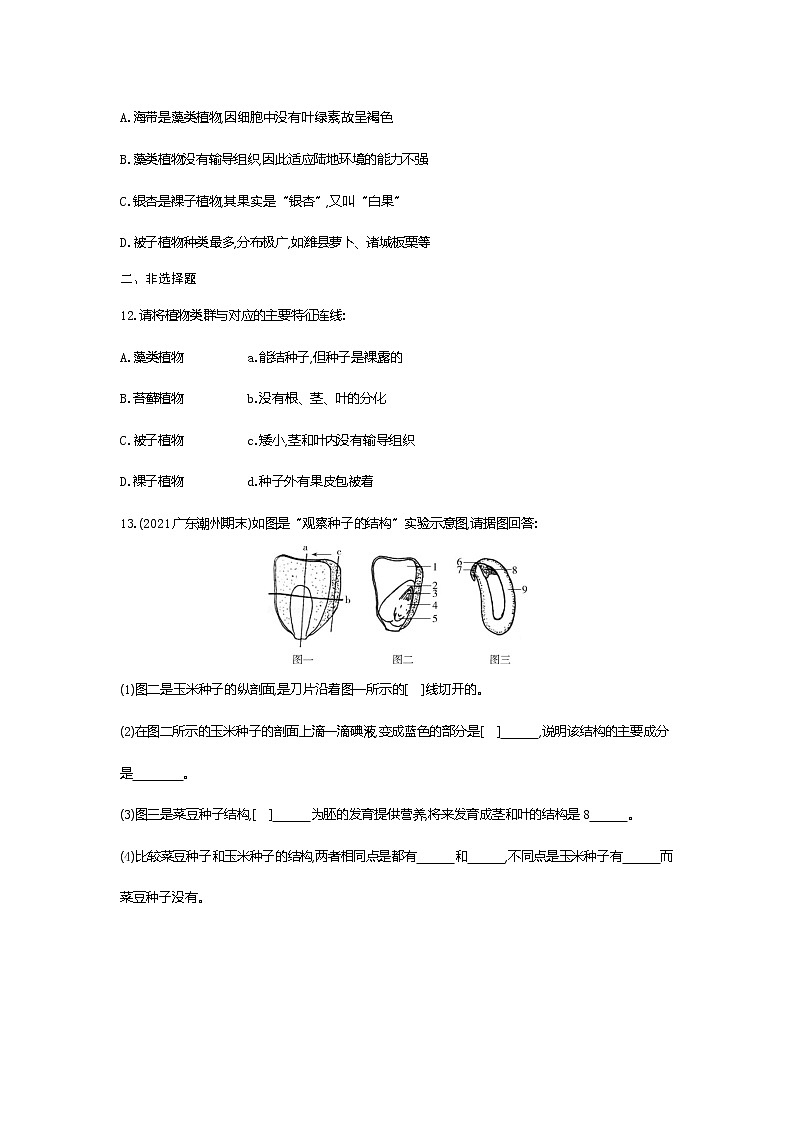 02-第二节　种子植物练习题第3页