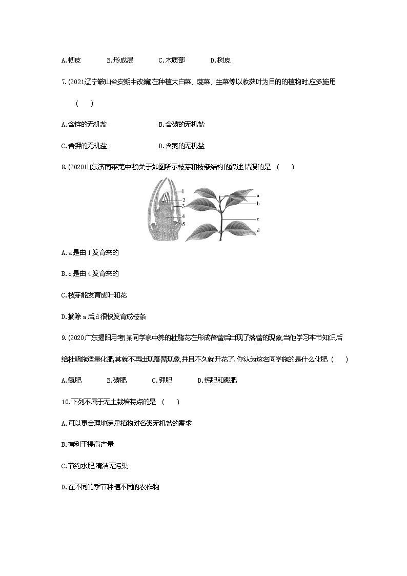 02-第二节　植株的生长练习题02