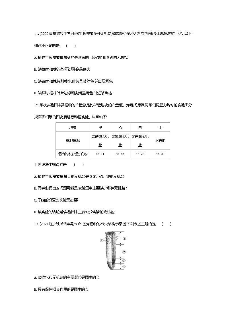 02-第二节　植株的生长练习题03