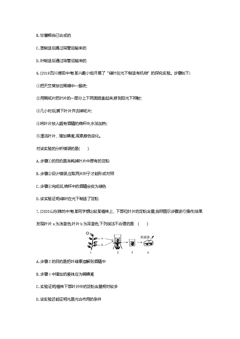 01-第四章　绿色植物是生物圈中有机物的制造者练习题02