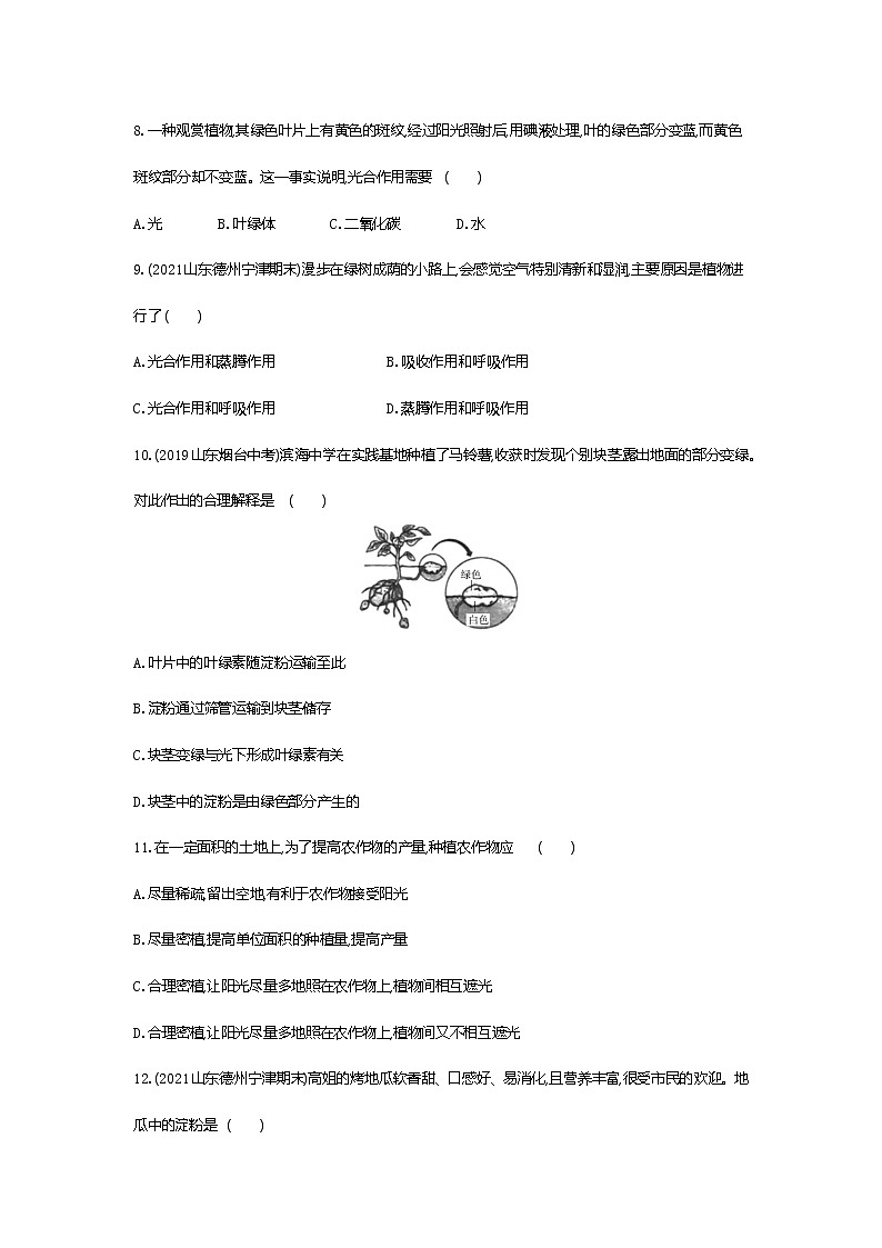 01-第四章　绿色植物是生物圈中有机物的制造者练习题03