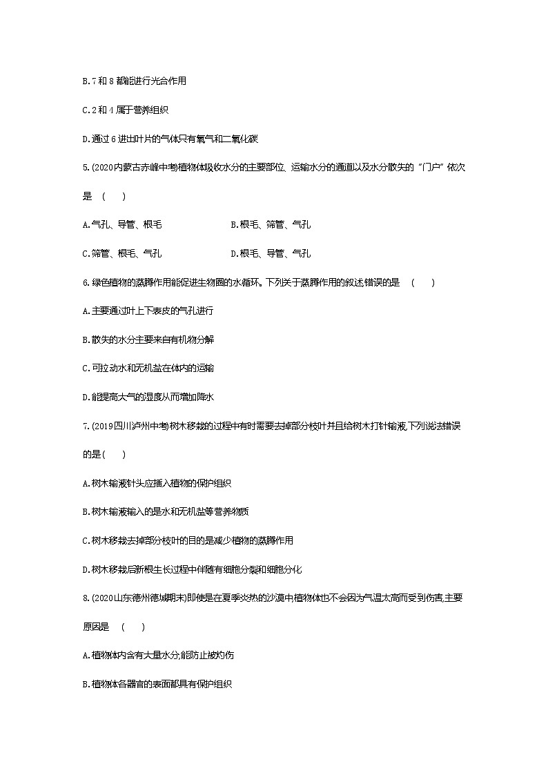 01-第三章　绿色植物与生物圈的水循环练习题02