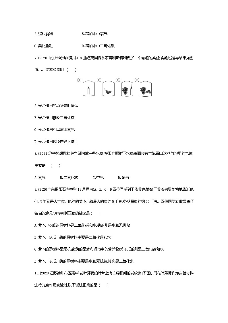 01-第一节　光合作用吸收二氧化碳释放氧气练习题02