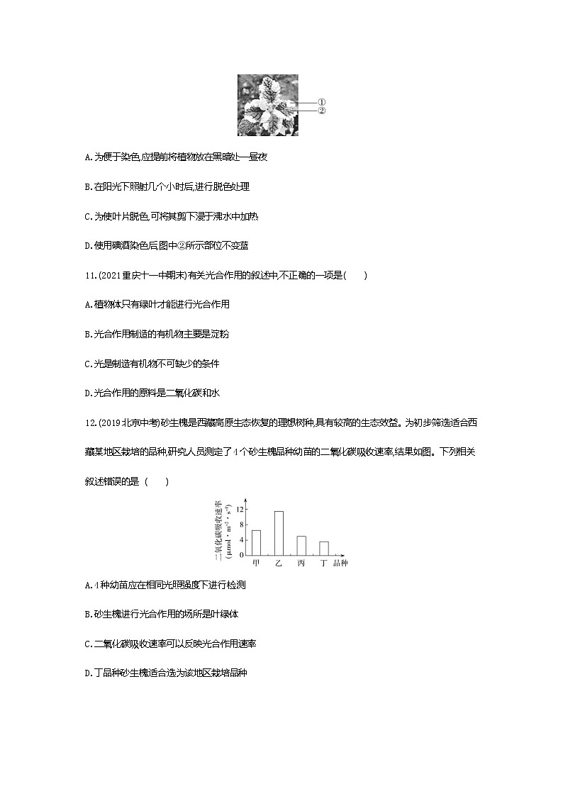 01-第一节　光合作用吸收二氧化碳释放氧气练习题03