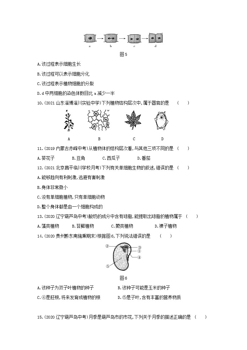 期末测试(一)--2022版生物七年级上册人教版03