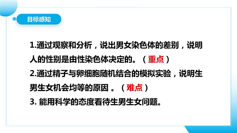 【核心素养目标】人教版初中生物八年级下册7.2.4《人的性别遗传》课件+视频+教学设计+同步分层练习（含答案）04