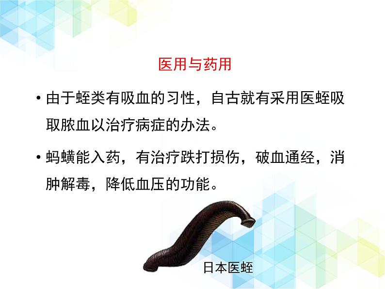21.4 动物的主要类群 课件+教案06