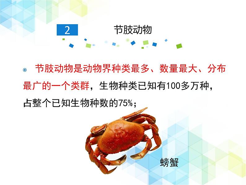 21.4 动物的主要类群 课件+教案07
