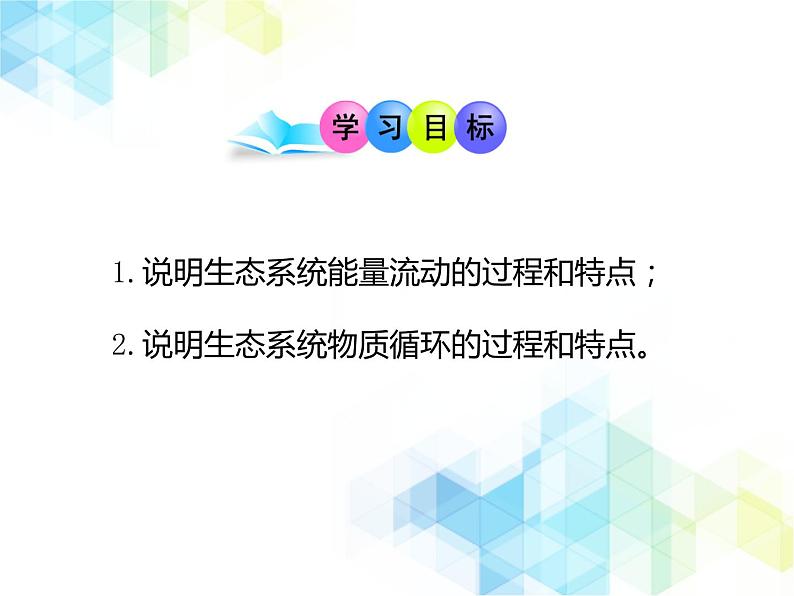 23.3 生态系统的结构和功能 课件+教案04