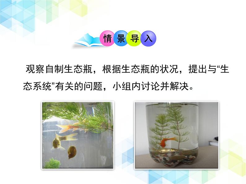 《生态系统的稳定性》授课课件第2页