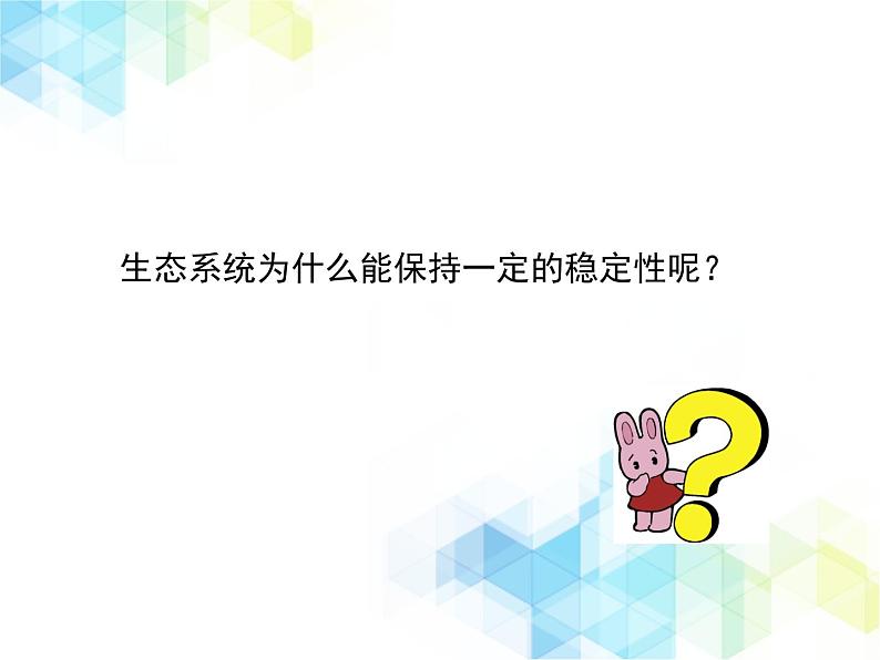 《生态系统的稳定性》授课课件第7页