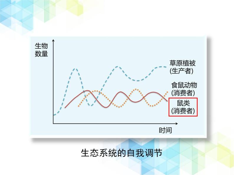 生物八年级下册第4节 生态系统的稳定性完美版课件ppt-教习网|课件下载