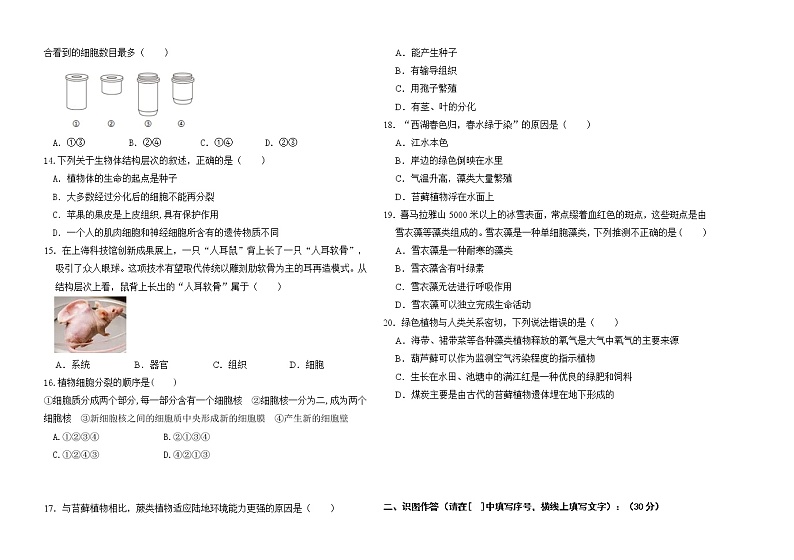 内蒙古鄂尔多斯市部分中学2021-2022学年七年级上学期期中限时训练生物【试卷+答案】02